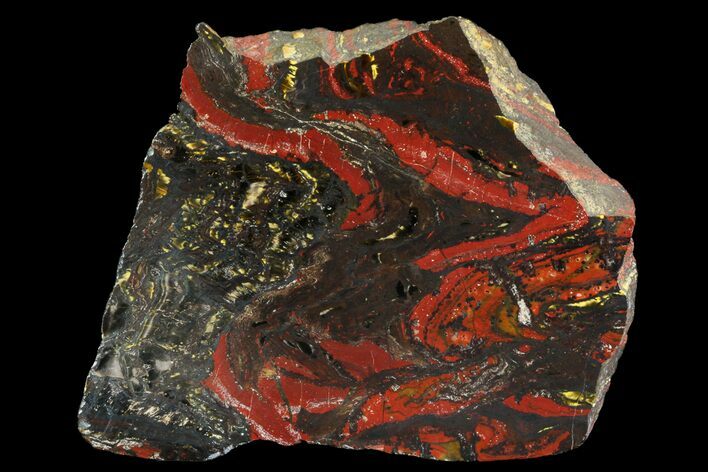 Polished Tiger Iron Stromatolite - ( Billion Years) #75834